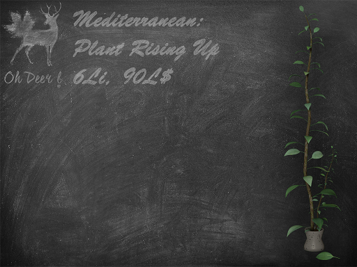 Oh Deer! Mediterranean: Plant Rising Up