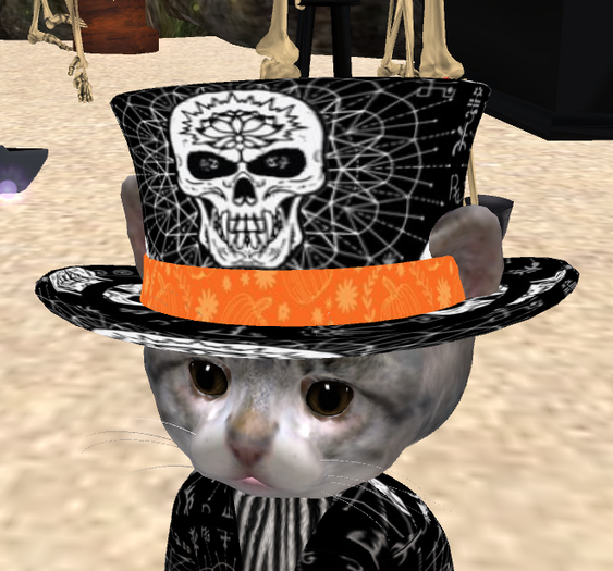 Halloween Top Hat