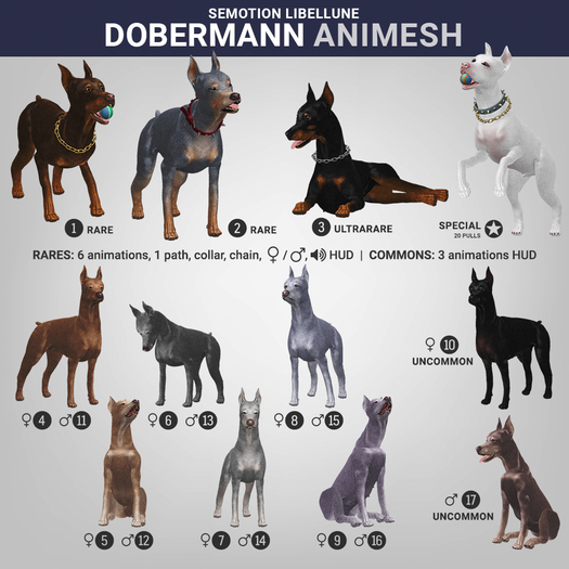 SEmotion Libellune Dobermann Animesh #2 RARE