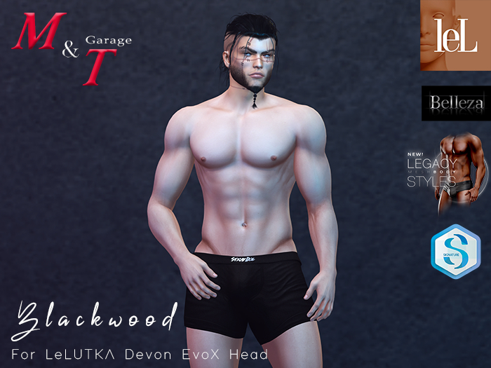 Second Life Marketplace M&T Blackwood Shape For Bento LeLUTKA EvoX Devon