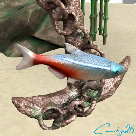 [Con.] Build'A'Tank - Tetra (animated swimming fish)