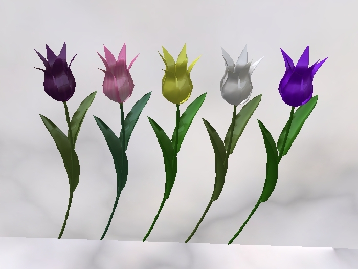 One Prim Sculpted Tulip (Lily Flowered, Yellow)