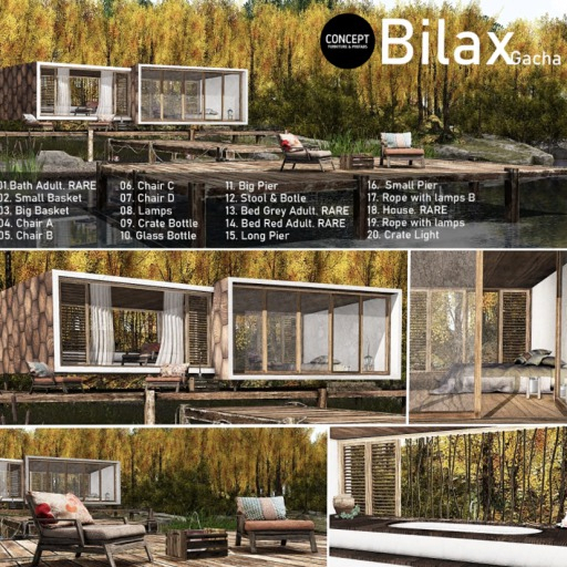 18. CONCEPT} Bilax . House. RARE