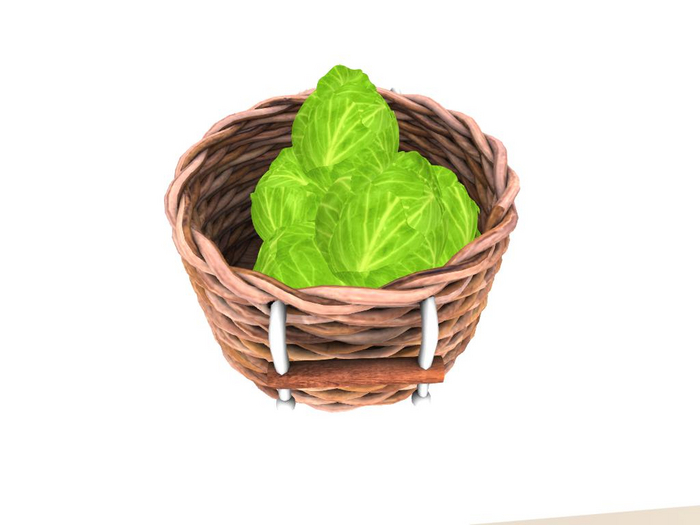 DFS Cabbage Basket 54