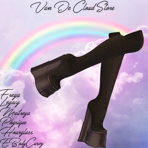 [VDCS] Lyn Boots Black
