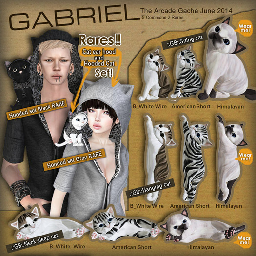 ::GB::Hooded set Gray RARE