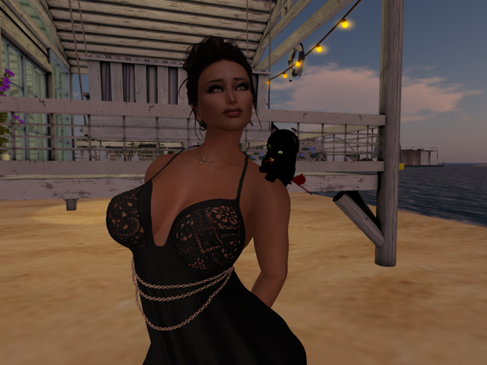 shoulder kitten , gattino da spalla