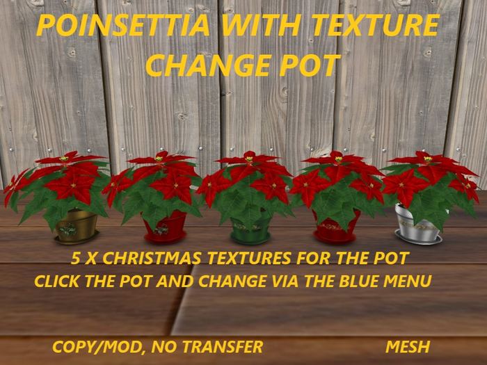 POINSETTIA WITH TEXTURE CHANGE POT