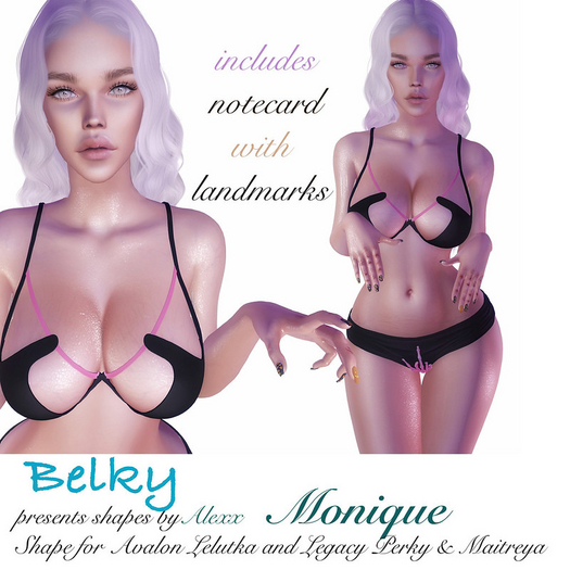 Belky Shapes by Alexx Monique shape