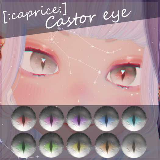 [:caprice:]Castor eye(ASR applier)