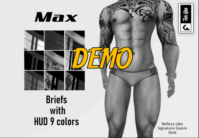 ::F:: Max Briefs DEMO (ADD)