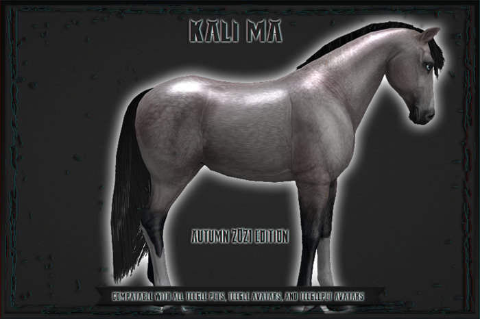 <Kali [*] Ma> Teeglepet (addme) BRosegray