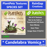 PLANTPETS TEXTURES SET CANDELABRA VOMICA (6)