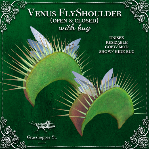 Grasshopper St Venus FlyShoulder