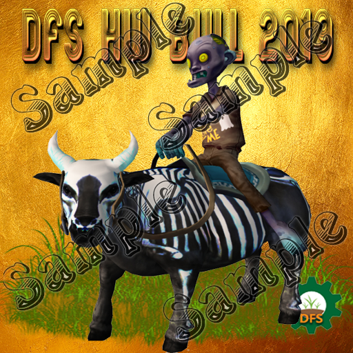 DFS Texture HW Bull 2019