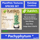 PLANTPETS TEXTURES SET PACHYPHYTUM (8)