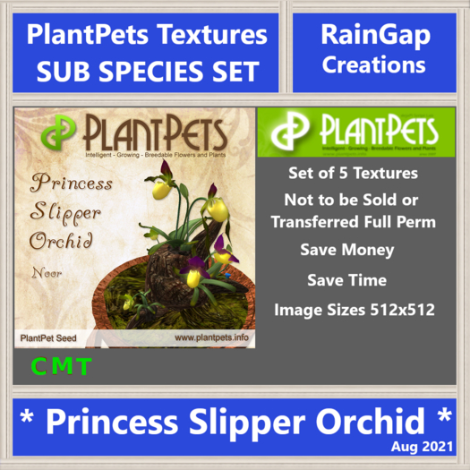 PLANTPETS TEXTURES SUB SET PRINCESS SLIPPER ORCHID (5)