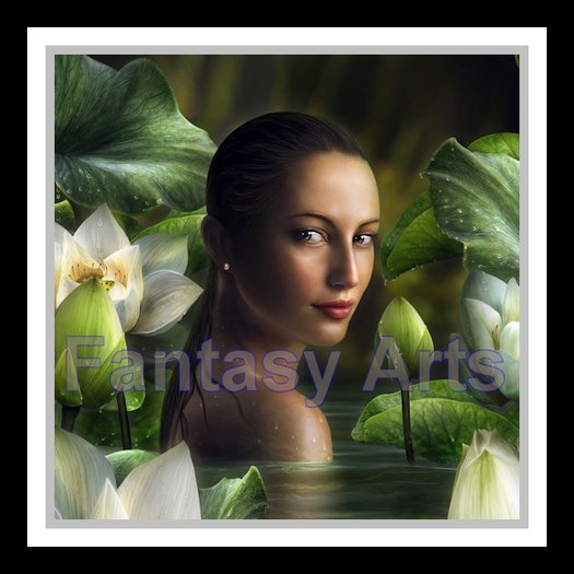 Fantasy Arts Lotus boxed