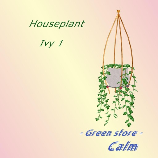 Houseplant -  Ivy 1b