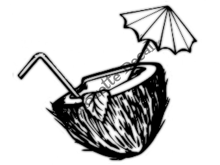 Coconut Decal