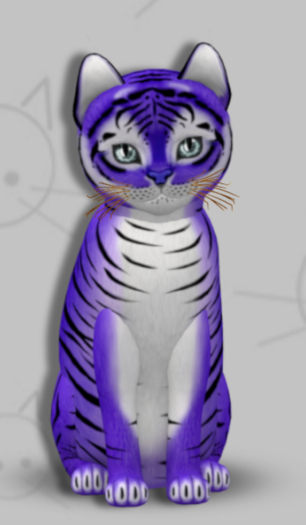 KittyCatS Box - Tiger Lavender/9T/Male/Serenity/Chop Chop/Soft Curl