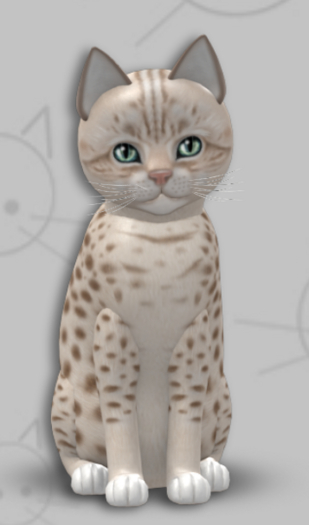 KittyCatS Box - Ocicat Lavender/6T/Male/Light Wash
