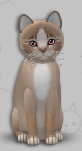 KittyCatS Box - Genesis Mocha II/3T/Female/Sunset/Chop Chop/Double Snappy