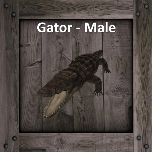 DFS Gator - Male (Texture Only)