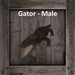 Second Life Marketplace - DFS Gator - Male (Texture Only)