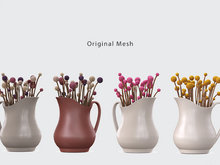 ACORN Dried Billy Buttons Jugs Set