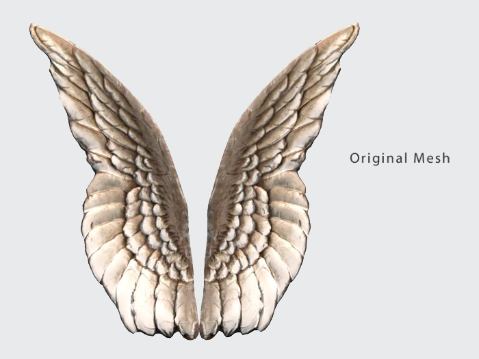 ACORN Stone Wings