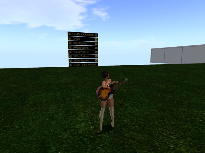 Acoustic Guitar (Standing).