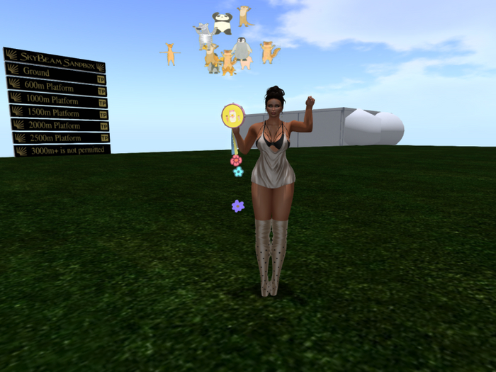  tambourine***( right hand) aflac