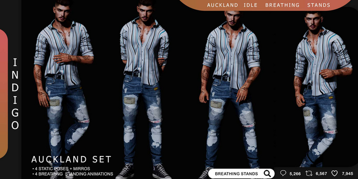 [InDiGo] Auckland Idle Breathing & Static Stands