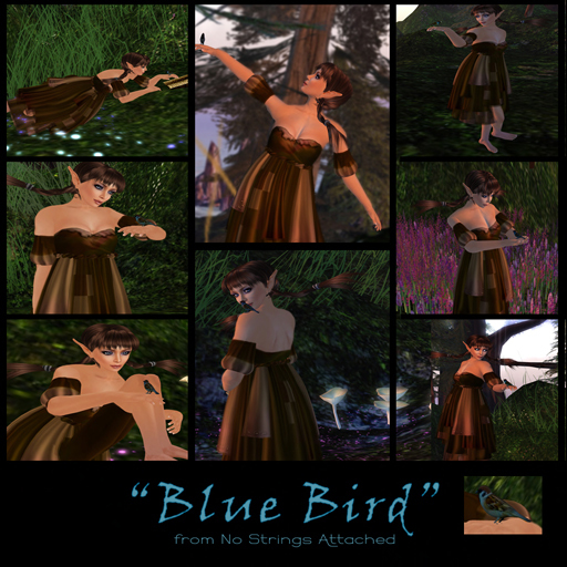 'NSA' - Blue Bird