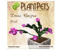 PlantPet Seed [Xmas Cactus *Pink*]