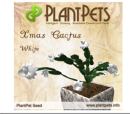 PlantPet Seed [Xmas Cactus *White*]