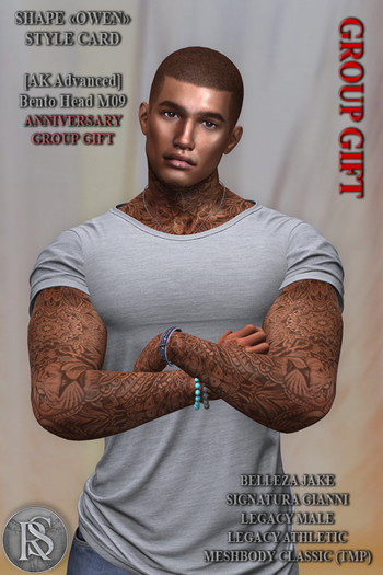 R.STYLE - SHAPE OWEN for AK - Bento Head 4.0 №M09 & STYLE CARD