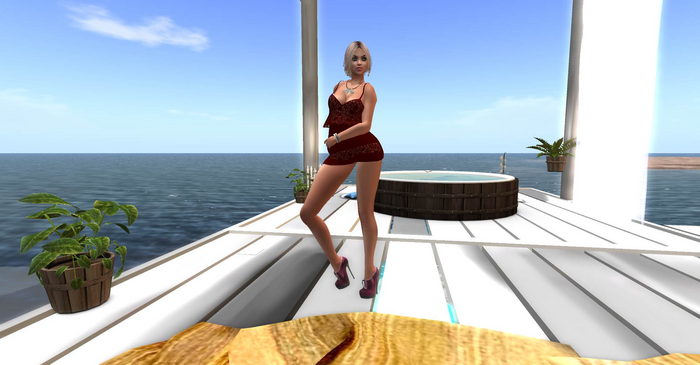 DC: Roro ruby lace dress 