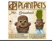 PlantPet Seed [Mr. Grasshead]