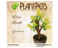 PlantPet Seed [Lilac Bush *Generva*]