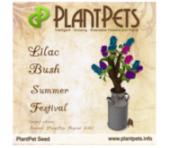PlantPet Seed [Lilac Bush *Summer Festival*]