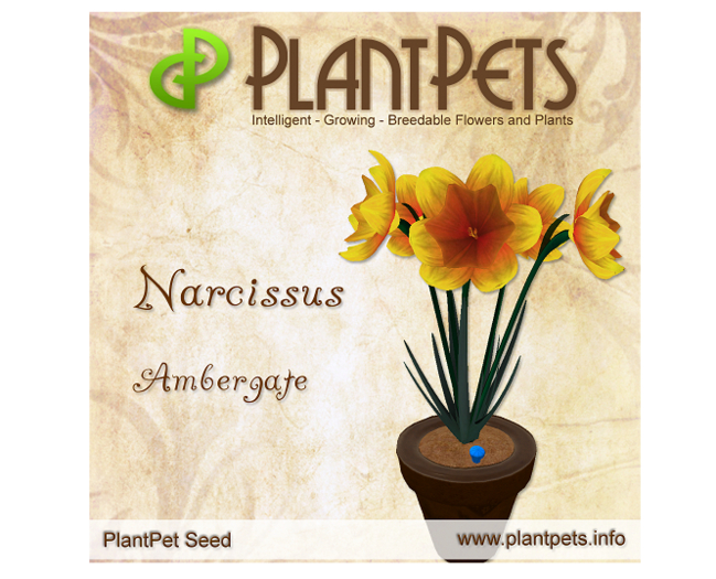 PlantPet Seed [Narcissus *Ambergate*]