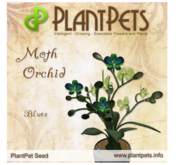 PlantPet Seed [Moth Orchid *Blues*]