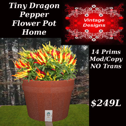 Tiny Dragon Pepper Flower Pot Home