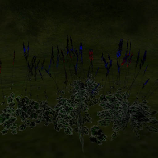 Moon Step several stocks  black