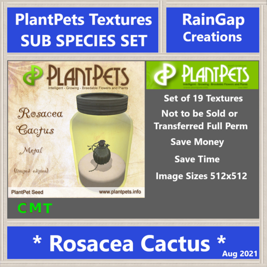 PLANTPETS TEXTURES SUB SET ROSACEA CACTUS (19)