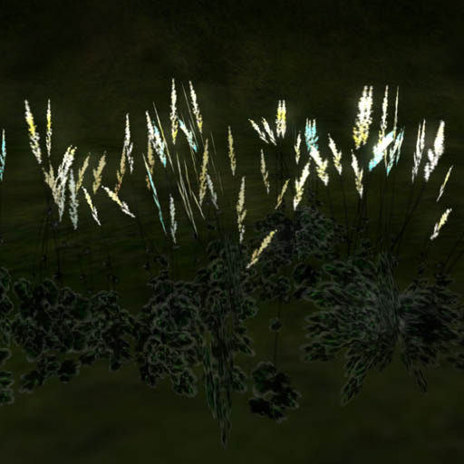 Night Step several stocks white