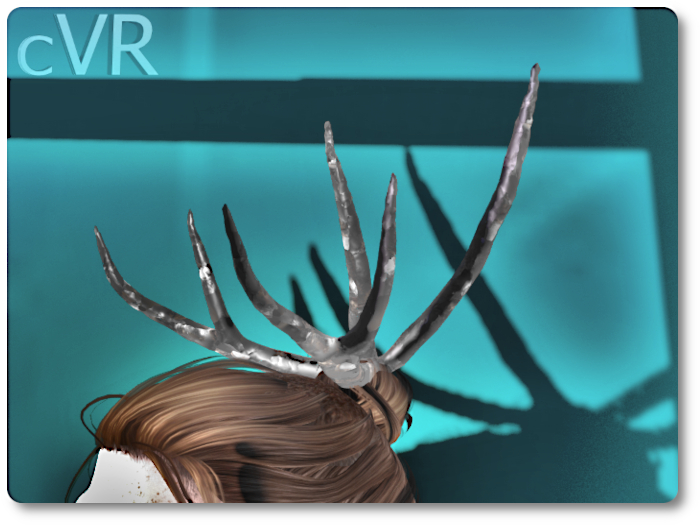 cVR Deer horns box