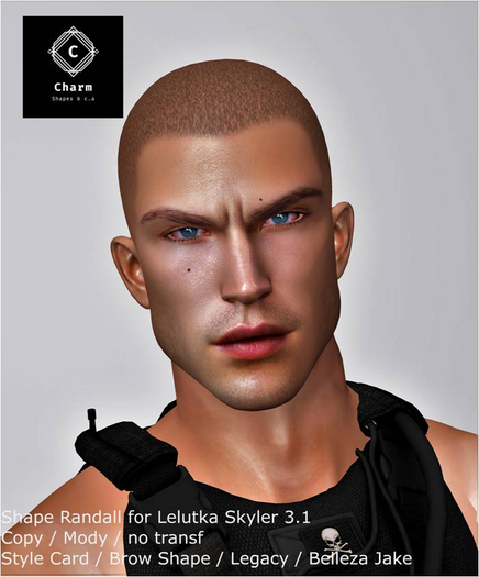 [CHARM] Randall  Shape for Skyler 3.1